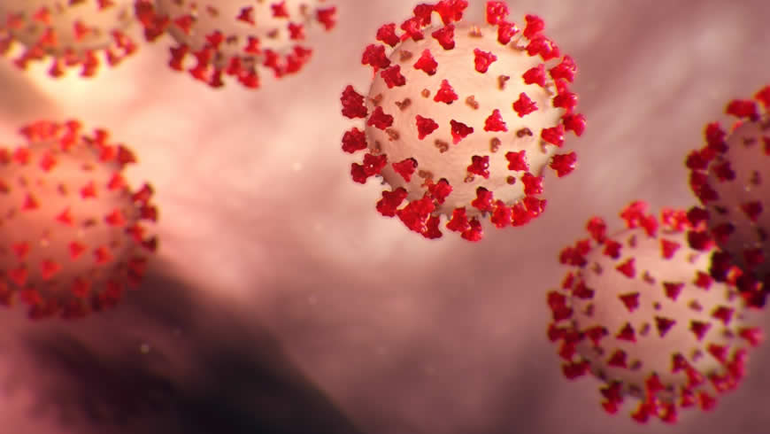 Issue: Countering Covid
